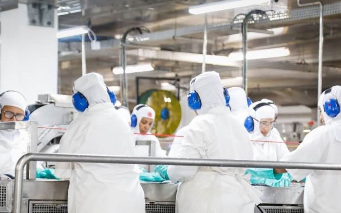 Companhia reforça compromisso com a valorização dos colaboradores e oferece pacote adaptado à realidade de uma multinacional