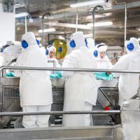 Nauterra tem feirões de emprego com mais de 100 vagas