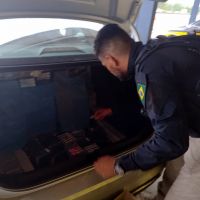 PRF intercepta carregamento de “Mounjaro”, vapes, botox e anabolizantes na BR 101