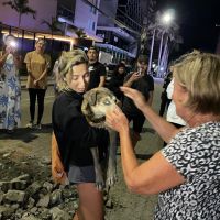 Marrom se recupera e precisa da ajuda da comunidade