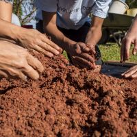 Instituto Boimamão pede apoio para mudar de sede e seguir contando a história de Bombinhas