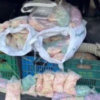 Traficante escondia mais de 120 mil comprimidos de ecstasy para abastecer o carnaval