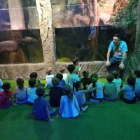 Aquário de BC oferece meia-entrada na semana da educação ambiental