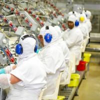 Nauterra tem feirões de vagas em fevereiro em Itajaí