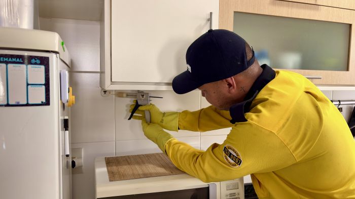 Calor e umidade favorecem o aparecimento de pragas no verão (Foto: Divulgação)