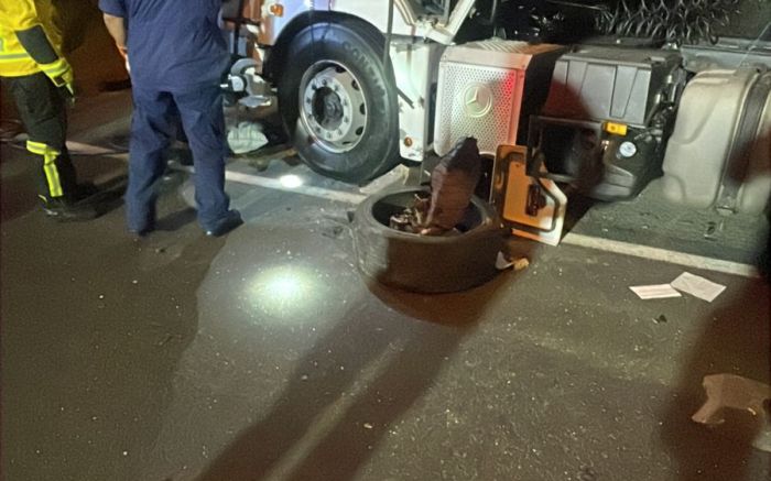 Motorista de 19 anos tinha furtado o carro