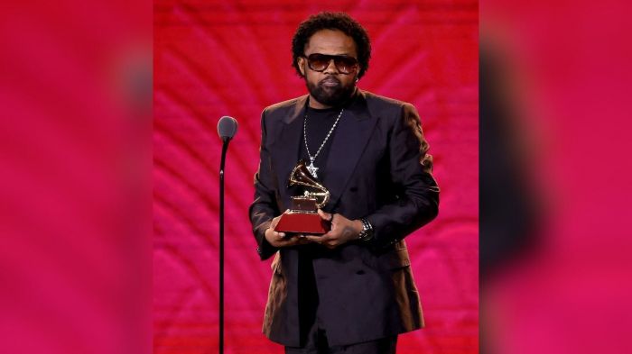 A programação do Sesc Verão 2026 encerra com showzaço de Leci Brandão (Foto: Reprodução/Redes sociais)