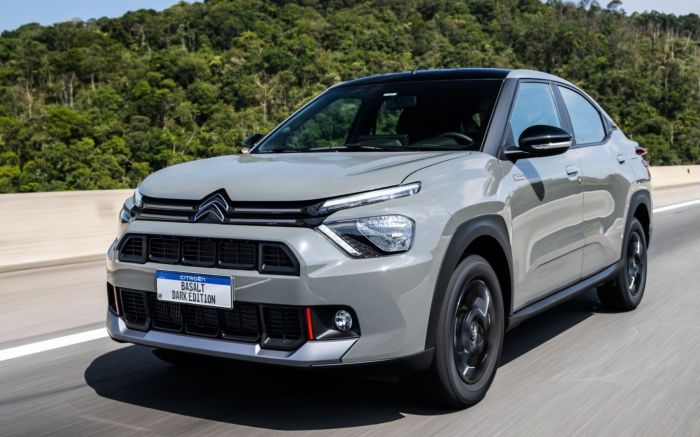 Citroën também celebra 1 milhão de carros produzidos no país (Foto: Divulgação)