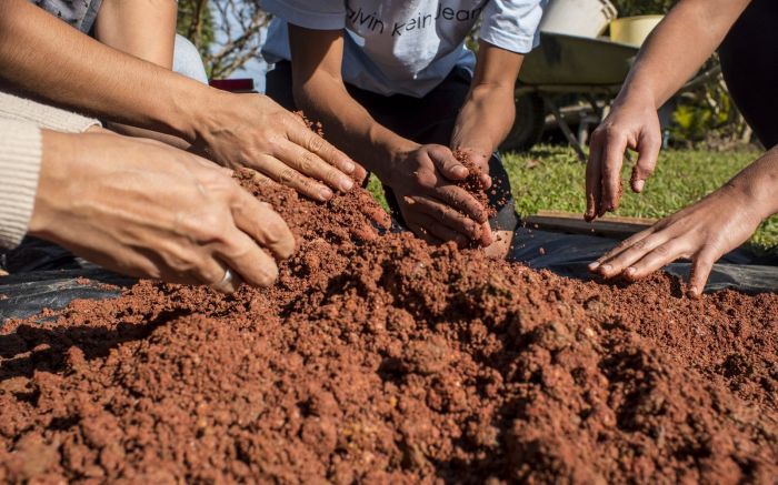 Instituto Boimamão lança financiamento coletivo para viabilizar mudança de sede e manter atividades culturais (Foto: Divulgação)