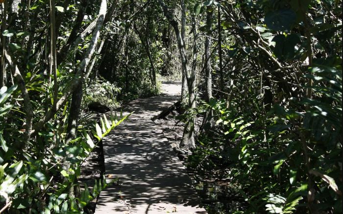 Mulher ensanguentada entrou no banheiro do hospital Ruth Cardoso (Foto: Arquivo)