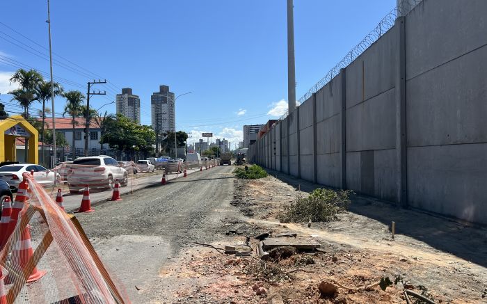 Árvores foram retiradas por funcionários e caminhões nesta terça-feira (Foto: Gabrielle Rudolf)