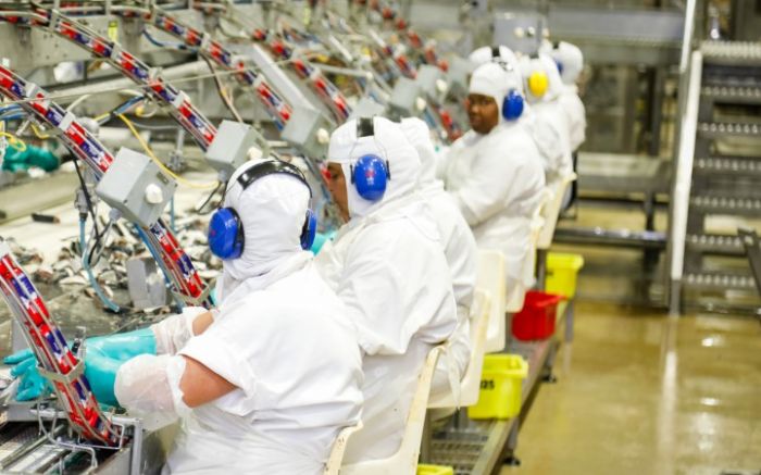 Interessados devem ir direto na fábrica com documentos e carteira de trabalho (Foto: Divulgação)