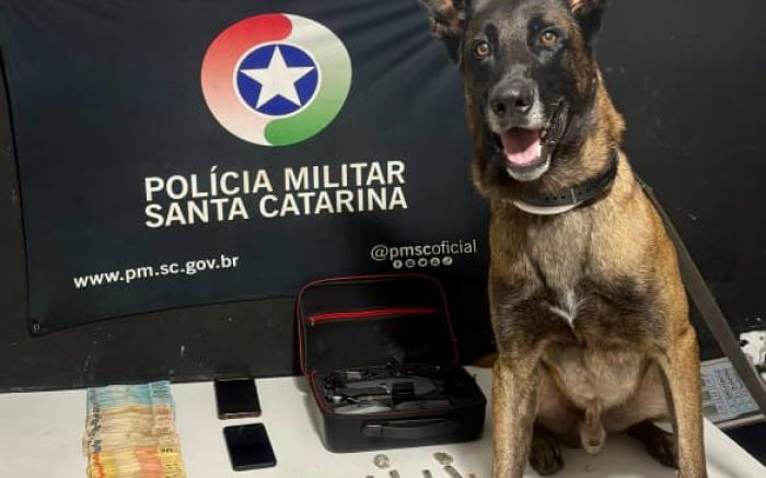Cão farejador ajudou a polícia