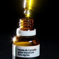 O cultivo de maconha começa a sair do armário no Brasil