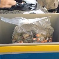 Anabolizantes e remédios para emagrecer são interceptados na BR 101