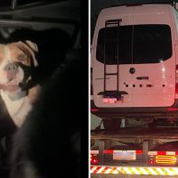 Argentinos deixam cachorros trancados em motorhome e veículo é guinchado em BC