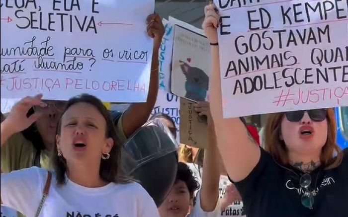 Quatro adolescentes de classe média alta foram apontados pela Polícia Civil como autores do crime