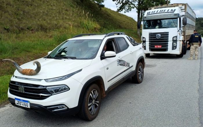 Acessório pontiagudo oferecia risco em caso de atropelamento (Foto: PRF)