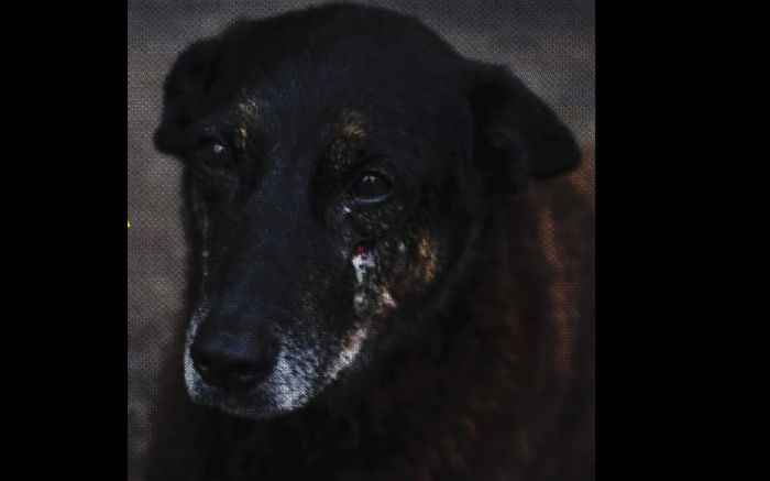 Nota oficial foi após divulgação de pedido de apreensão de menor suspeito