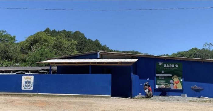 Canal passa a concentrar assistência veterinária gratuita e solicitações de adoção