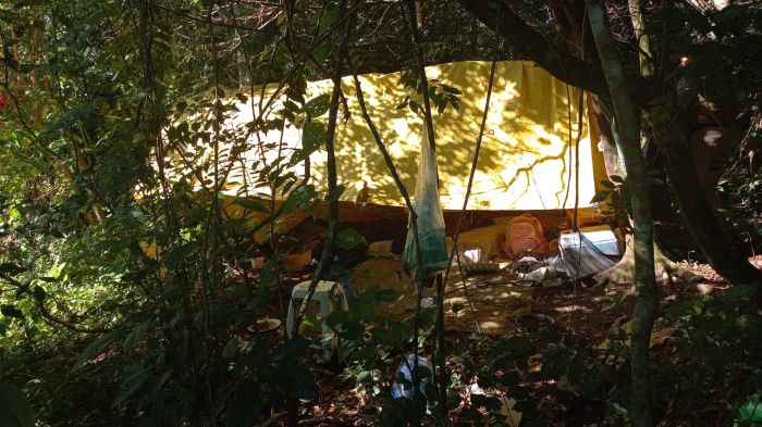 Corpo foi encontrado no bairro São Francisco de Assis (Foto: Divulgação PMSC)