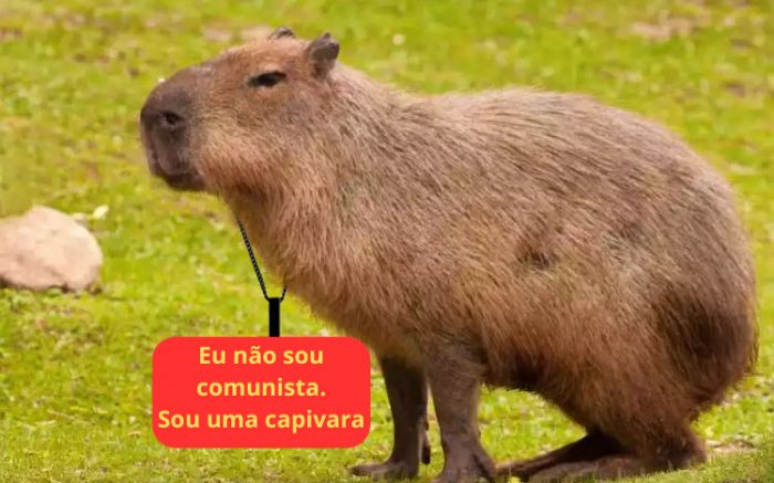 Capivara comunista