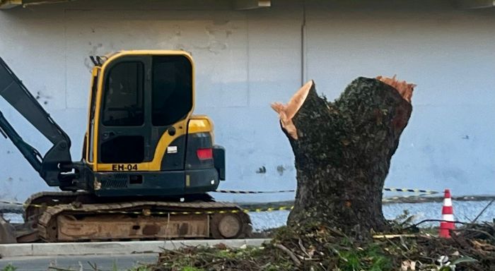 Destruição da Marcos Konder é  herança maldita