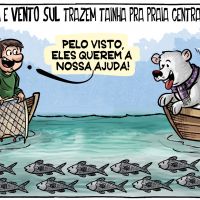 Tainhas na praia central de BC