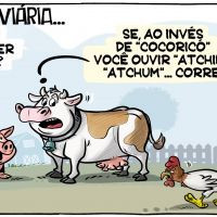 Gripe aviária
