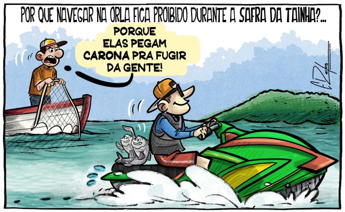 Navegar na orla fica proibido na safra da tainha