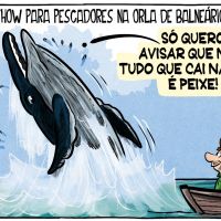 Baleia dá show no Balneário Piçarras