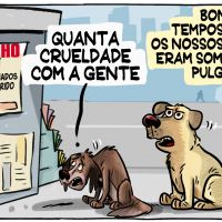 Maus-tratos aos animais