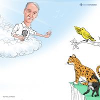 Sem míssil!