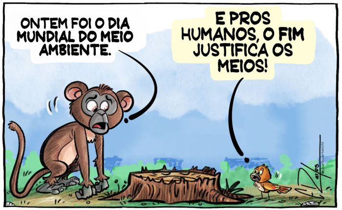 Meio Ambiente