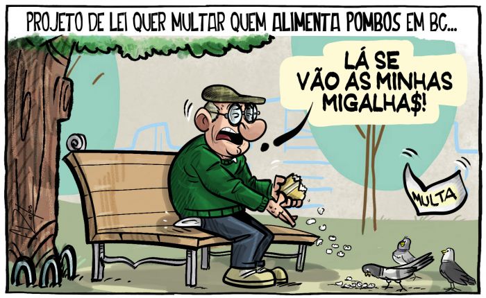 Lei quer multar quem alimenta pombos em BC