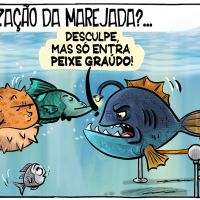 Privatização da Marejada?