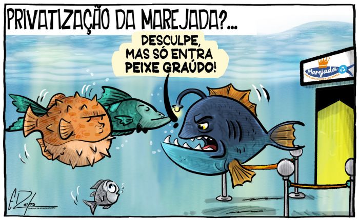 Privatização da Marejada?