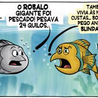 Robalo gigante é pescado