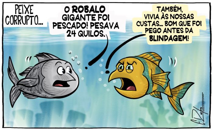 Robalo gigante é pescado