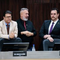 Frouxo na câmara?