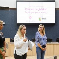 Machismo com vereadoras é punido