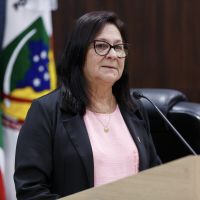Vereadora quer acabar novamente com fogos barulhentos