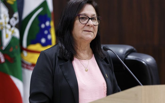 Vereadora quer acabar novamente com fogos barulhentos