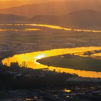 Clique Diário retorno