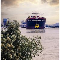 O gigante na moldura do Atalaia