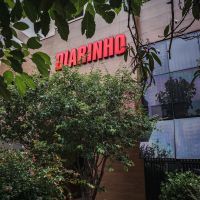 A vida brota, a notícia pulsa