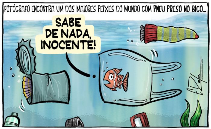 Fotógrafo encontra peixe com pneu preso no bico