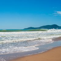 Brava em Estado Puro