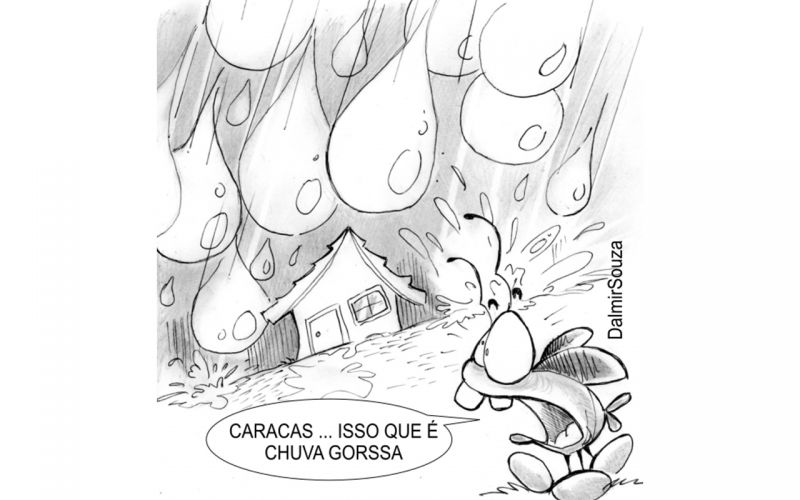 Enquanto isso na Santa & Bela Catarina... (Charge do Dalmir Souza)