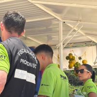 Tabelamento de preços nas praias